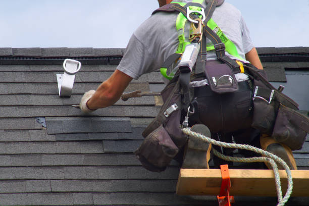 Best Roof Gutter Cleaning  in Mobridge, SD