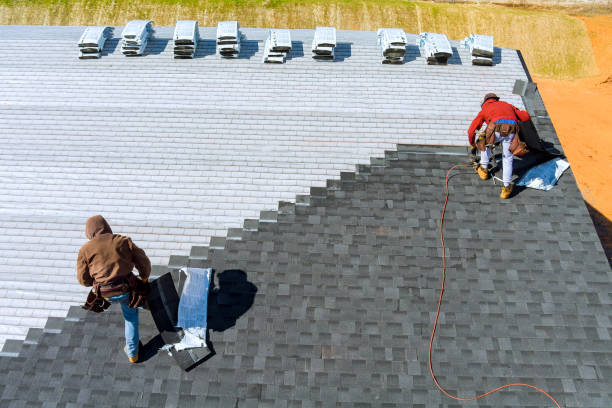 Best Shingle Roofing Installation  in Mobridge, SD